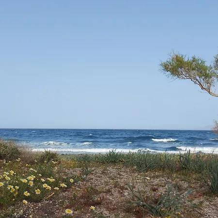 Sea Breeze *