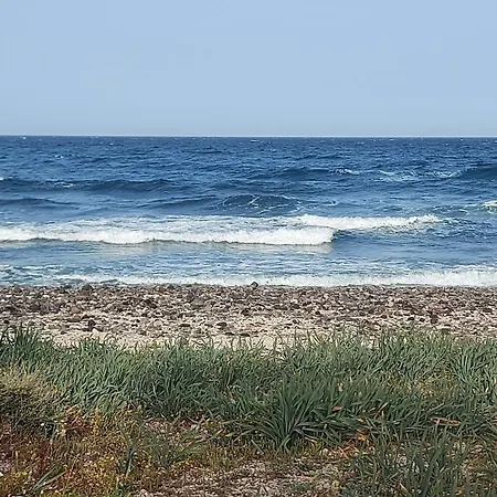 Sea Breeze