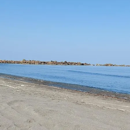 Sea Breeze